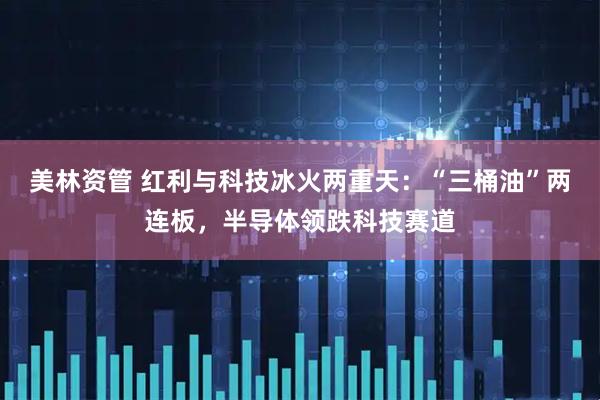 美林资管 红利与科技冰火两重天：“三桶油”两连板，半导体领跌科技赛道