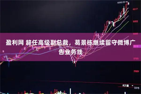 盈利网 辞任高级副总裁，葛景栋继续留守微博广告业务线