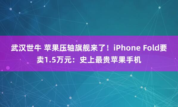 武汉世牛 苹果压轴旗舰来了！iPhone Fold要卖1.5万元：史上最贵苹果手机