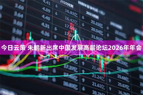 今日云策 朱鹤新出席中国发展高层论坛2026年年会