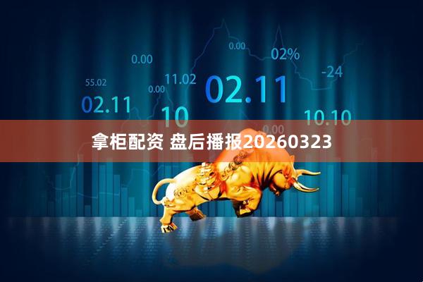 拿柜配资 盘后播报20260323