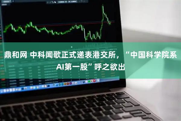 鼎和网 中科闻歌正式递表港交所,“中国科学院系AI第一股”呼之欲出