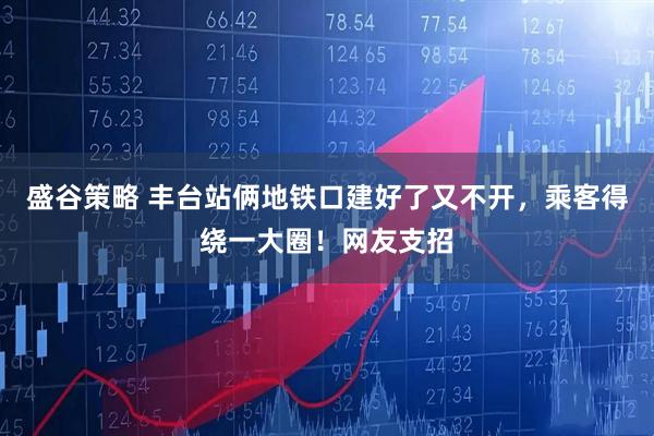 盛谷策略 丰台站俩地铁口建好了又不开，乘客得绕一大圈！网友支招