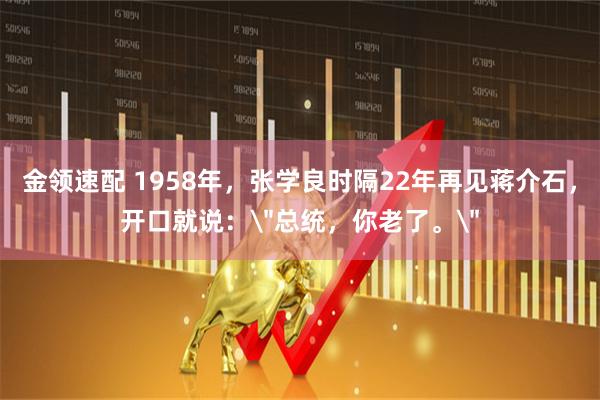 金领速配 1958年，张学良时隔22年再见蒋介石，开口就说：