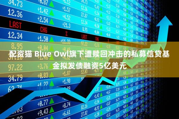 配资猫 Blue Owl旗下遭赎回冲击的私募信贷基金拟发债融资5亿美元