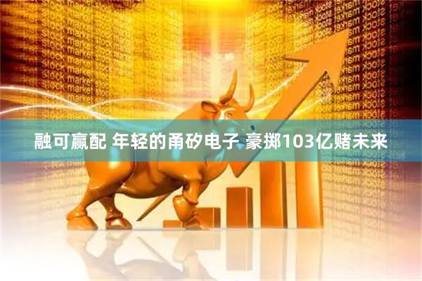 融可赢配 年轻的甬矽电子 豪掷103亿赌未来