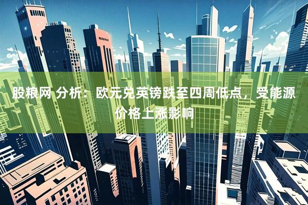 股粮网 分析：欧元兑英镑跌至四周低点，受能源价格上涨影响