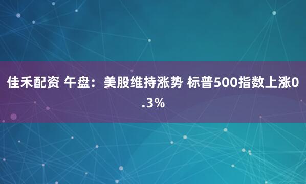 佳禾配资 午盘：美股维持涨势 标普500指数上涨0.3%