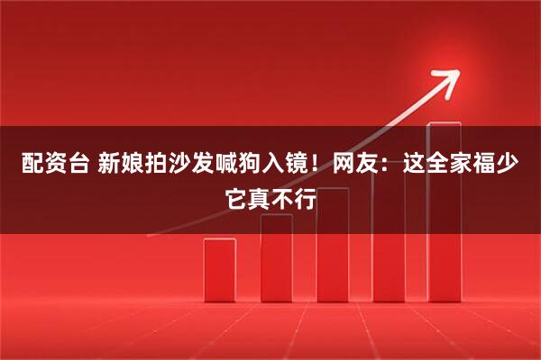 配资台 新娘拍沙发喊狗入镜！网友：这全家福少它真不行