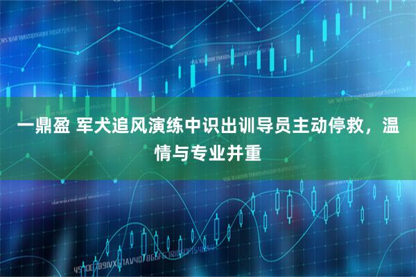 一鼎盈 军犬追风演练中识出训导员主动停救，温情与专业并重