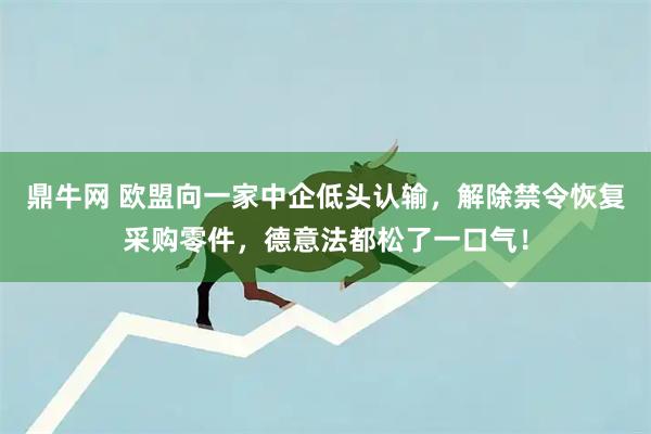 鼎牛网 欧盟向一家中企低头认输,解除禁令恢复采购零件,德意法都松了一口气!