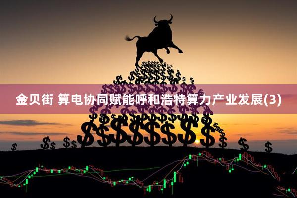金贝街 算电协同赋能呼和浩特算力产业发展(3)