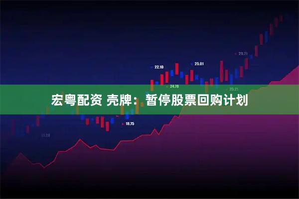 宏粤配资 壳牌：暂停股票回购计划