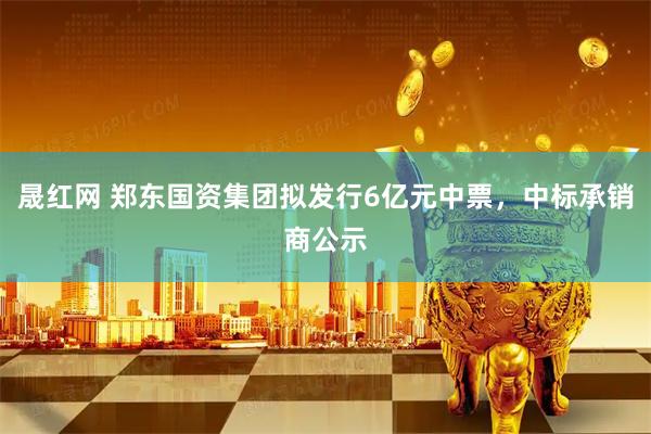 晟红网 郑东国资集团拟发行6亿元中票，中标承销商公示