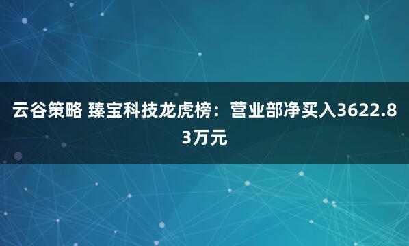 云谷策略 臻宝科技龙虎榜：营业部净买入3622.83万元