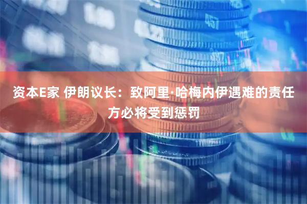 资本E家 伊朗议长：致阿里·哈梅内伊遇难的责任方必将受到惩罚