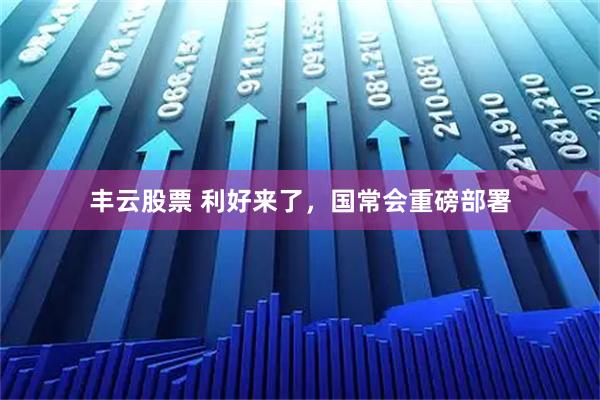 丰云股票 利好来了，国常会重磅部署