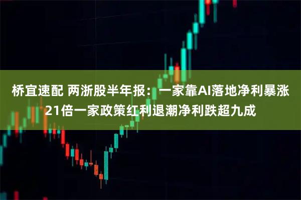 桥宜速配 两浙股半年报：一家靠AI落地净利暴涨21倍一家政策红利退潮净利跌超九成